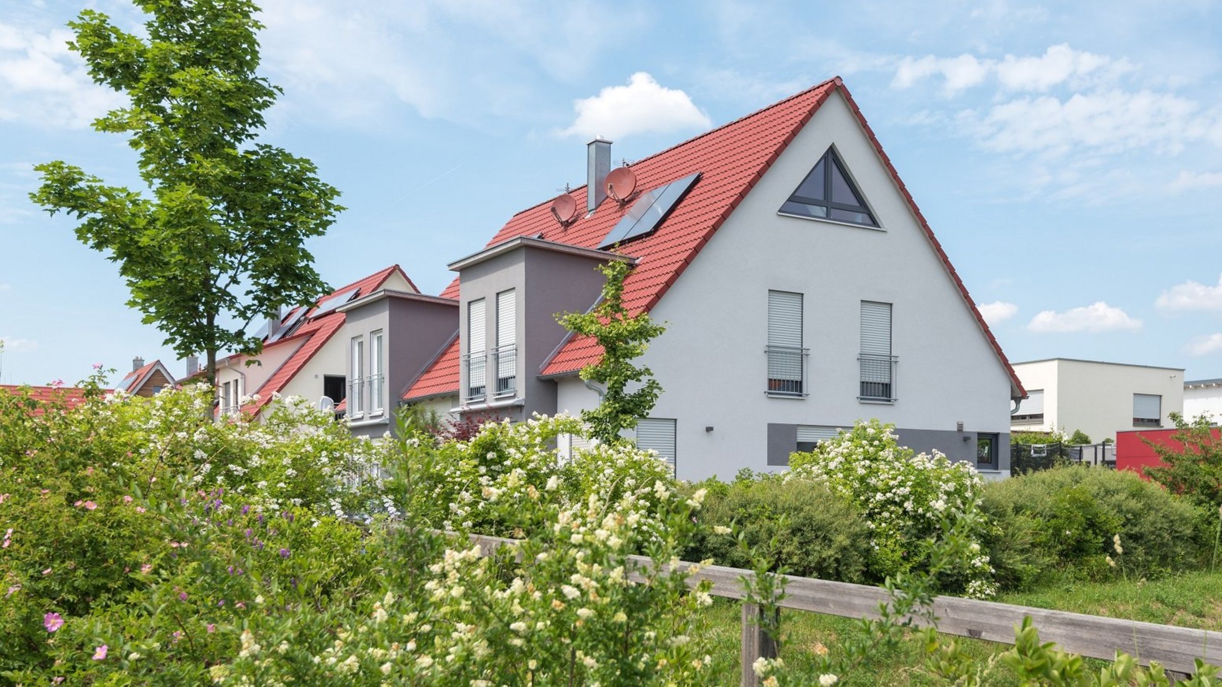 Wohnhaus mit Jungbaum im Garten