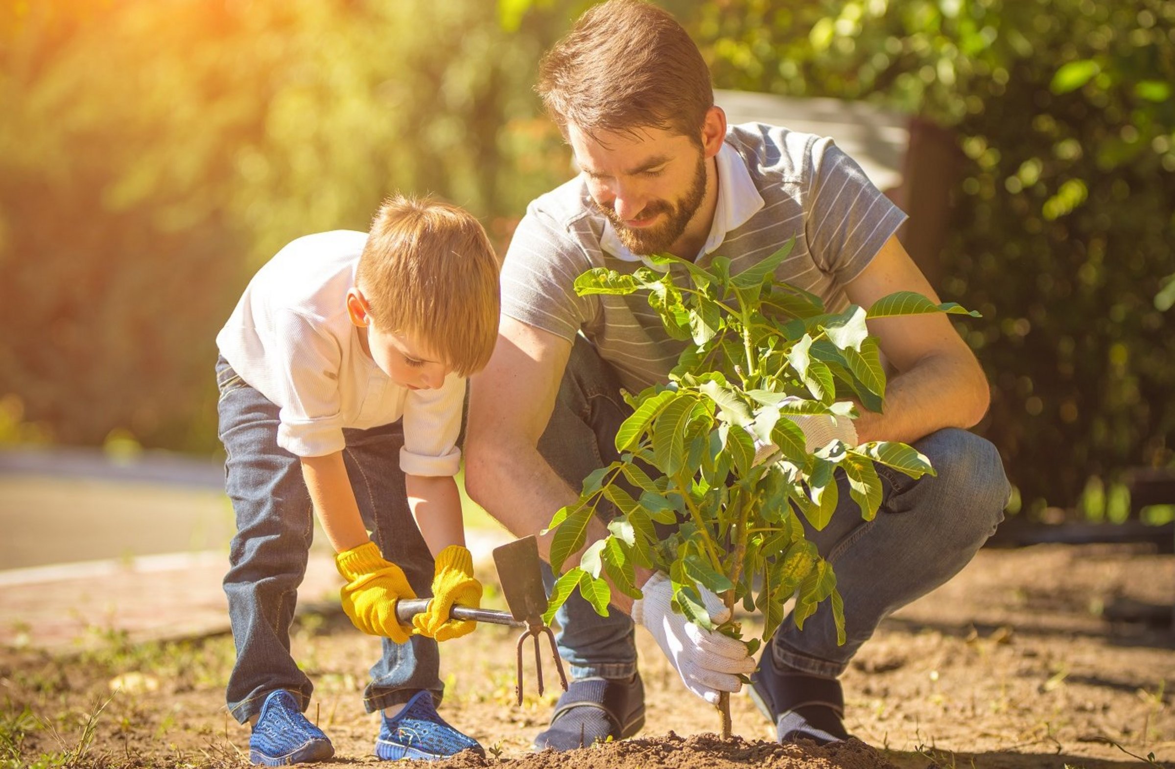 Vater und Sohn draußen beim Pflanzen eines Jungbaumes